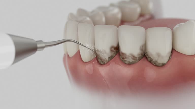 Reliable Dental contractor in Keyser, WV by Dentist Open Now